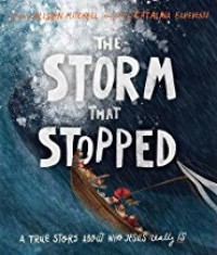 Image of The Storm That Stopped: A True Story About Who Jesus Really Is